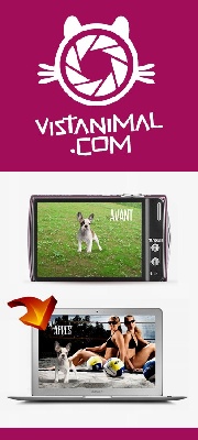 Vistanimal